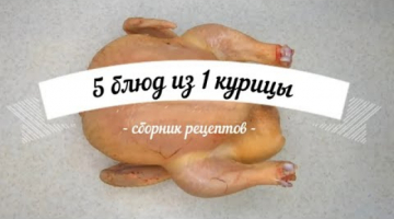 5 блюд из одной курицы - еда без труда -  простые доступные рецепты