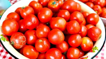 Recipe Консервированные помидоры в своем соку. Заготовка на зиму