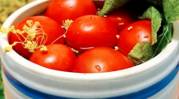 Recipe Квашеные соленые Помидоры на Зиму | ОЧЕНЬ вкусные КВАШЕНЫЕ помидоры КАК БОЧКОВЫЕ?!