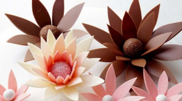 Шоколадные цветы для торта. Декор из шоколада.